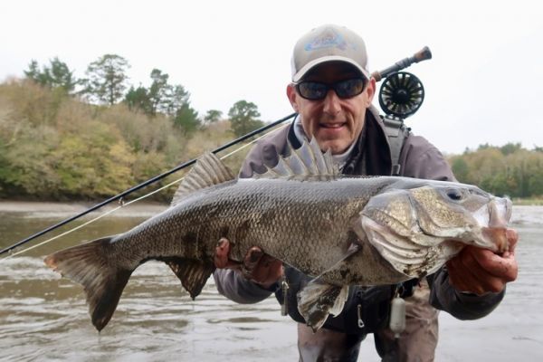 Pesca con mosca de grandes lubinas en Bretaa, una salida exitosa