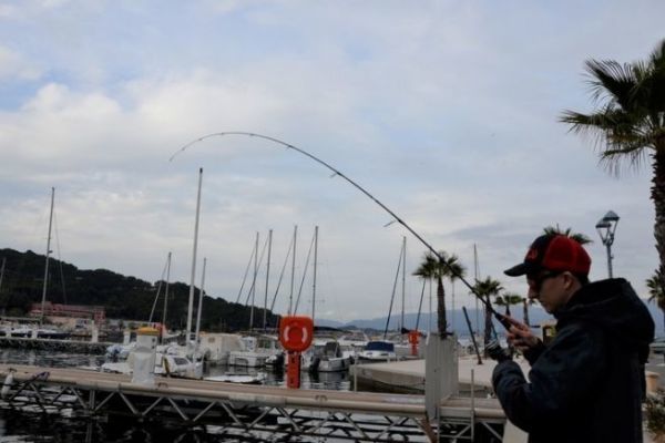 Seleccin del equipo para la pesca del pan de mar