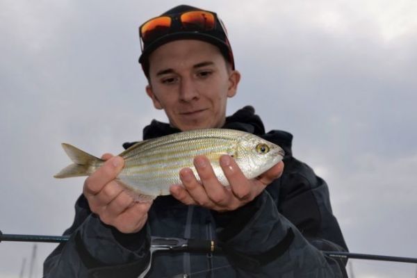 La pesca del pan en el mar, cmo adaptarse a la pesca del salmn