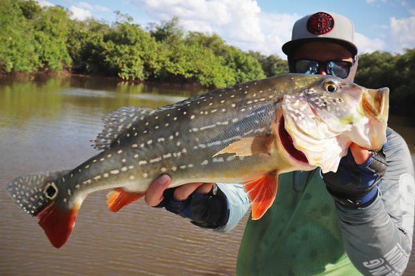 Sons of the Forest: Cómo pescar fácilmente y zonas de peces