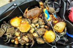 Excursi�n de pesca en la costa