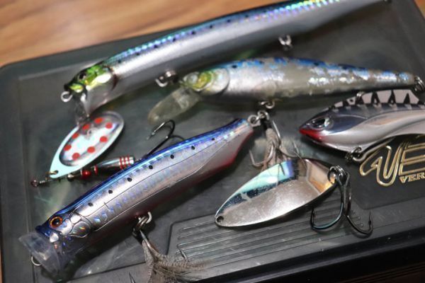 3 señuelos esenciales para la pesca de la sardinata