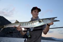 La pesca de la barracuda, consejos para buscar a este depredador