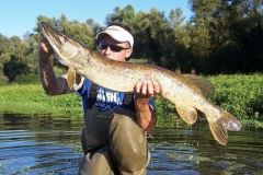 Pesca del lucio con seuelos, bscalos con swinbaits duros