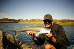Pescar en Nueva Zelanda, descubrir el salmn australiano