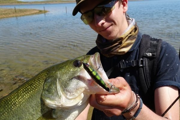 Mejores Señuelos para la pesca del Black Bass en primavera