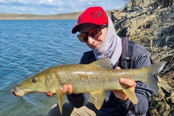 Las 3 mejores moscas para la pesca del barbo extremeo