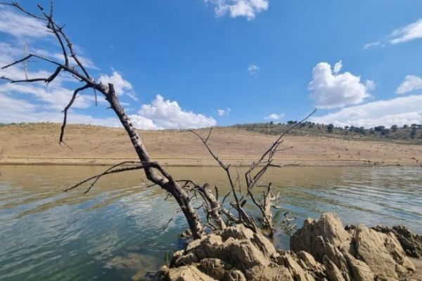 El lago Serena, observaciones sobre la poblacin de peces