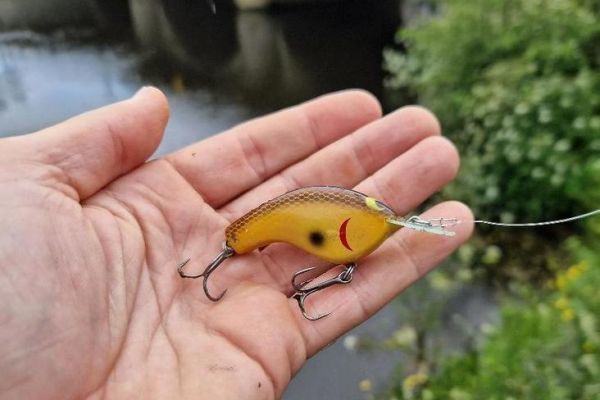 Los accesorios más interesantes para la pesca con señuelos