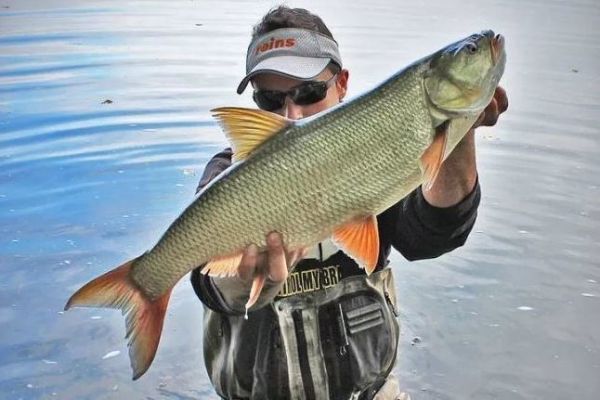 Pesca en el Loira