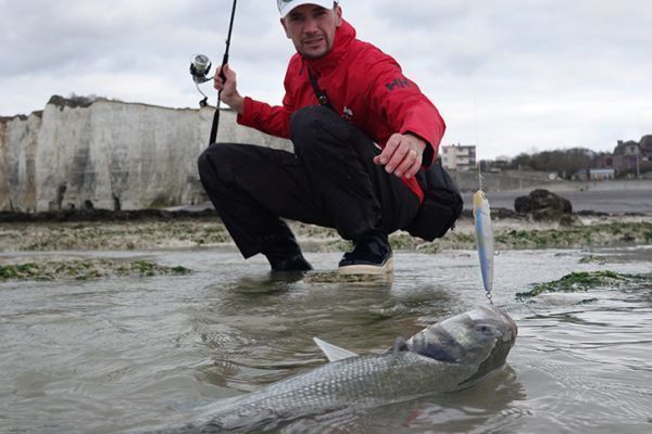 La pesca de la lubina vuelve a estar autorizada en el noroeste de Francia
