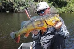 Pesca del pavn en el Amazonas