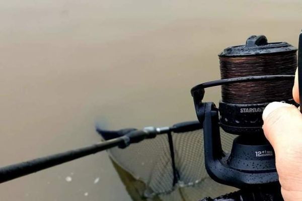 Nylon para pescar carpas: interesante versatilidad