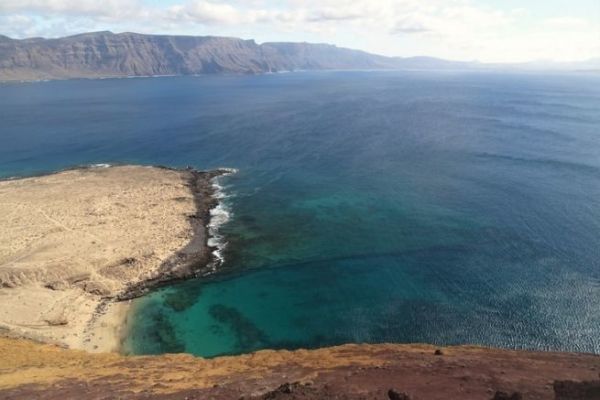 3 especies para pescar en Canarias, pesca extica accesible