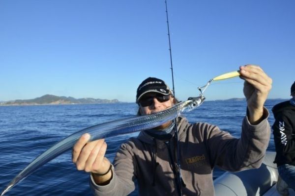 Pesca del pez espada, un pez depredador de aguas profundas