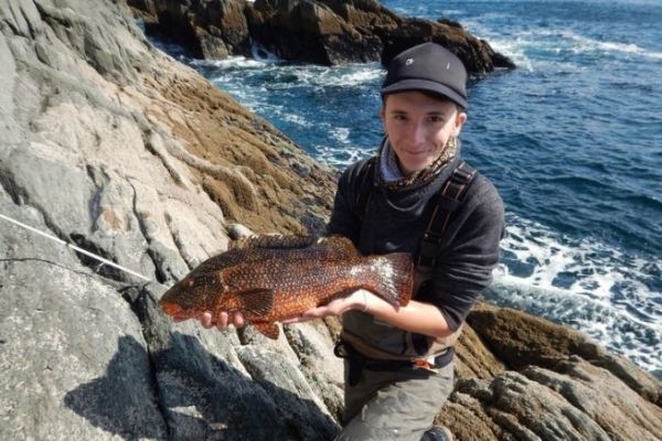 3 seuelos eficaces para la pesca costera en Irlanda