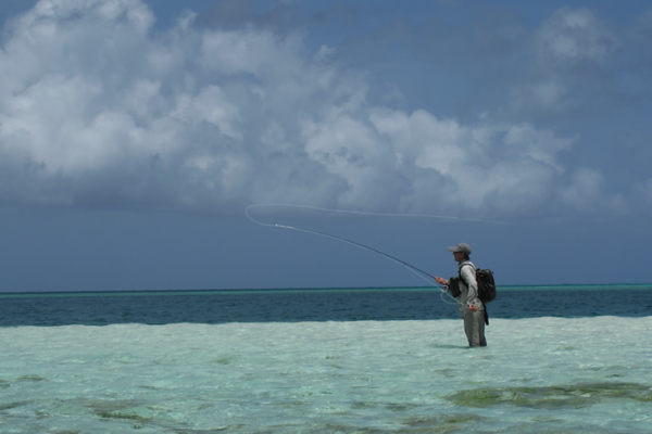 Aprender a lanzar a distancia en la pesca con mosca requiere prctica