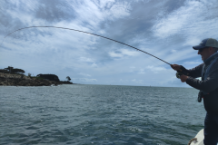 Éxito de la pesca de lubinas con mosca desde un barco en el sur del Finisterre La pesca de lubinas en un barco de pesca con mosca en el sur de Bretaña suele ser interesante y emocionante