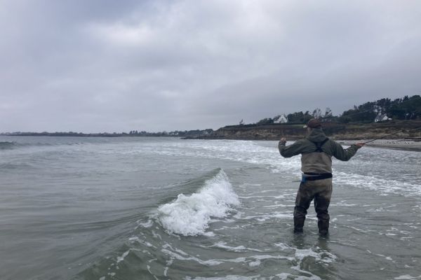 Pesca de lubinas con mosca en la playa, ¿dónde encontrar los peces? Pesca de lubinas con mosca en la playa