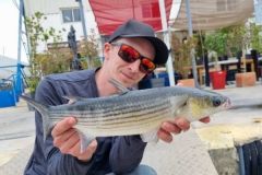 La pesca del salmonete en el Mediterráneo, una experiencia apasionante Pesca de salmonetes