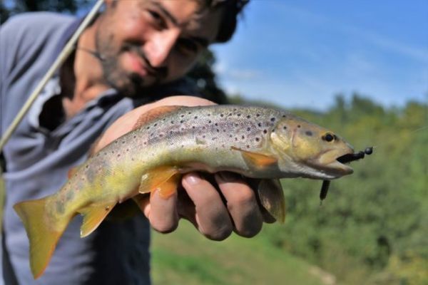 Pesca de truchas con imitaciones de invertebrados para peces difciles