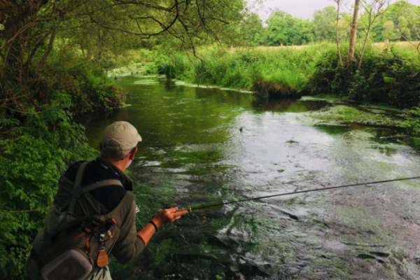 ¿Cómo pescar truchas a mosca en un río pequeño?