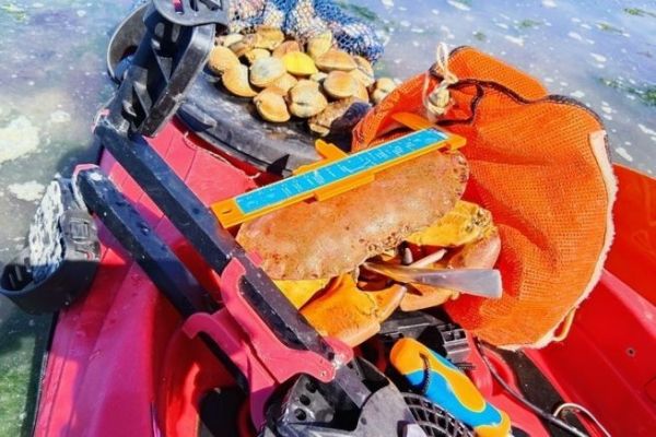 ¿El fin de la recolección en la costa?