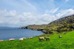 Irlanda es un destino de ensueo para los aficionados a la pesca