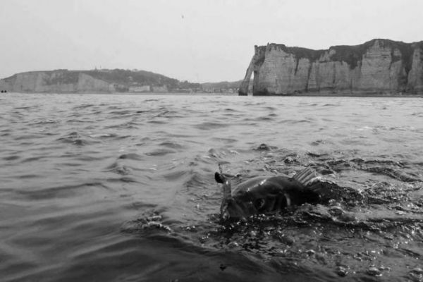Dominar la caza de la lubina desde una embarcación: consejos y sugerencias Pesca de lubinas a ras de agua