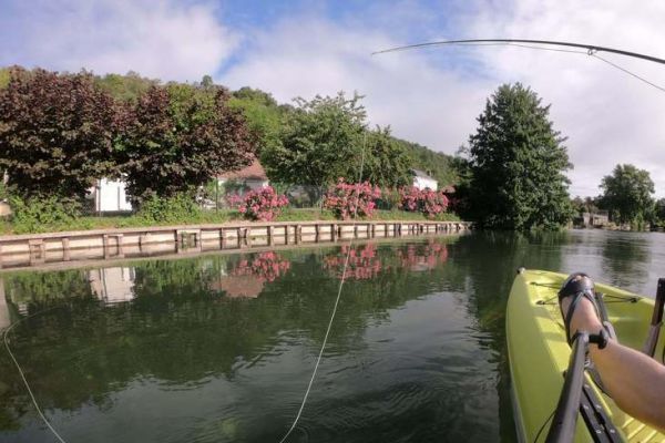 Paredes verticales, lugares privilegiados para la pesca de depredadores