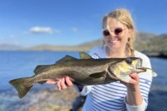 Un repaso a algunos de los mejores momentos de pesca de nuestra estancia en Irlanda
