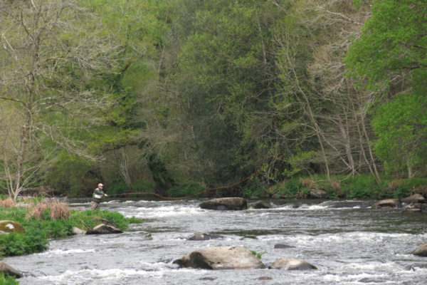 Mosca: los fundamentos del Spey Casting