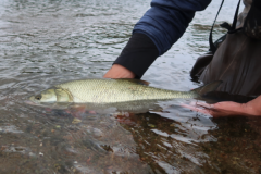 La pesca con mosca es todo un reto, pero merece la pena