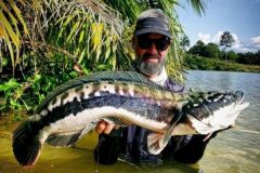 Diferentes tcnicas de pesca de la serpiente gigante