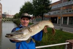 Pesca del lucio en los plderes