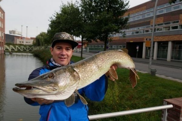 La pesca del lucio en los plderes: un enfoque diferente