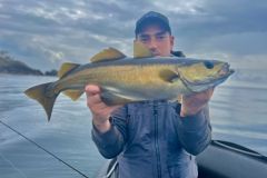 En verano, podr seguir pescando abadejos