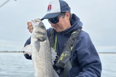 Excursin de pesca de lubinas