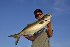 Pesca viva en el Mediterrneo