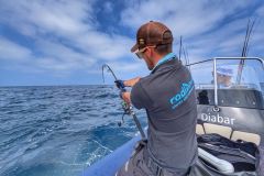 La temporada de pesca del atn rojo de 2025 est en pleno apogeo.