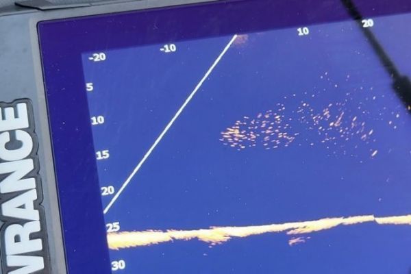 Pesca en vivo en el mar, la tecnologa al servicio de los grandes peces