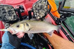 Pesca en Pornichet
