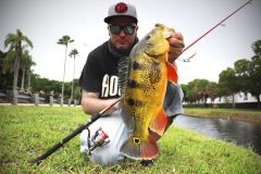 La pesca callejera en Miami se sale de lo comn