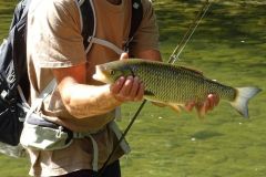 Pesca de cacho