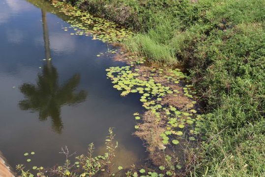 Pesca en Florida, consejos para un viaje de pesca exitoso