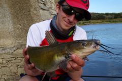 Pesca del siluro con cebo