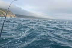 Las condiciones ventosas son ideales para la pesca de la lubina