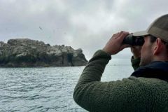 El uso de prismticos estabilizados se ha convertido en algo habitual para los pescadores de atn habituales. Probarlos es darse cuenta de lo importantes que son