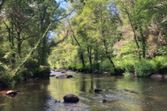 La pesca fluvial ya est cerrada, pero eso no significa que la temporada haya terminado!
