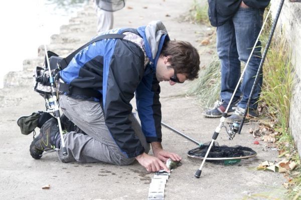 Pesca en Angers en el Maine, una escuela de pesca en la calle